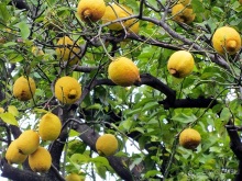 Дороги, которые нас выбирают: Неаполь, четыре "П" и Амальфитанское побережье. Часть 9