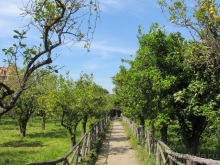 Дороги, которые нас выбирают: Неаполь, четыре "П" и Амальфитанское побережье. Часть 9