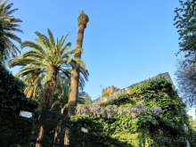 Дороги, которые нас выбирают: Неаполь, четыре "П" и Амальфитанское побережье. Часть 9