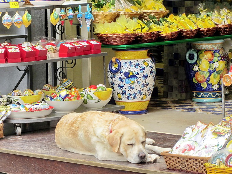 Дороги, которые нас выбирают: Неаполь, четыре "П" и Амальфитанское побережье. Часть 9