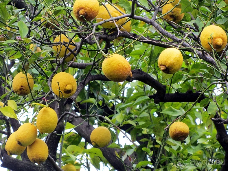 Дороги, которые нас выбирают: Неаполь, четыре "П" и Амальфитанское побережье. Часть 9