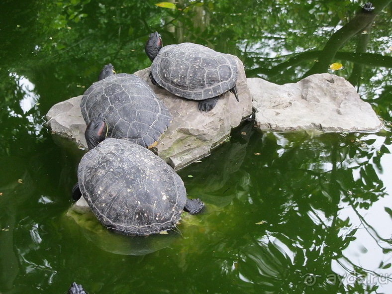 Дороги, которые нас выбирают: Неаполь, четыре "П" и Амальфитанское побережье. Часть 9