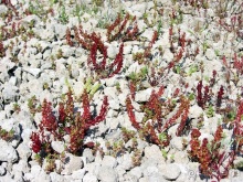 Санторинский кальдероскоп. Белое на голубом. Голубое на белом. Часть 6