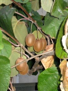 Черногория – октябрьские впечатления (День 1)