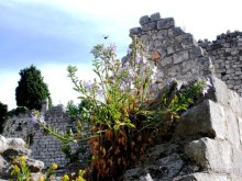 Черногория – октябрьские впечатления (День 1)