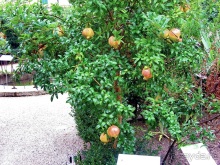 Эмилия-Романья вдоль и немного поперёк (Болонья и окрестности). Часть 9