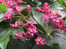 Эмилия-Романья вдоль и немного поперёк (Болонья и окрестности). Часть 9