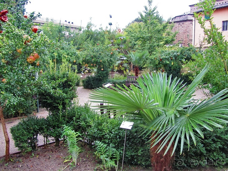 Эмилия-Романья вдоль и немного поперёк (Болонья и окрестности). Часть 9