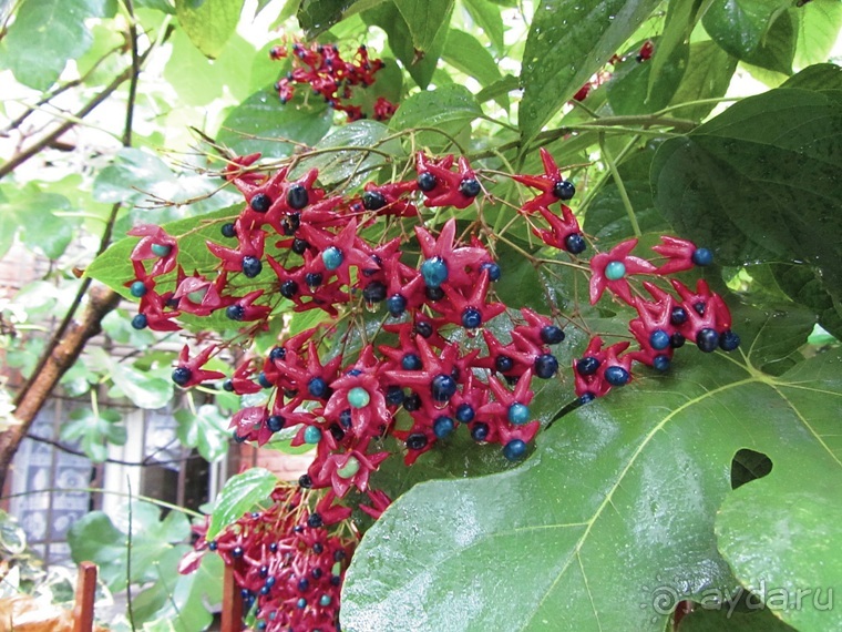 Эмилия-Романья вдоль и немного поперёк (Болонья и окрестности). Часть 9