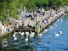 Швейцария: полстраны за 3 дня