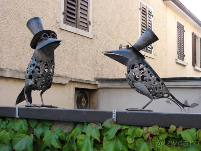 Швейцария: полстраны за 3 дня