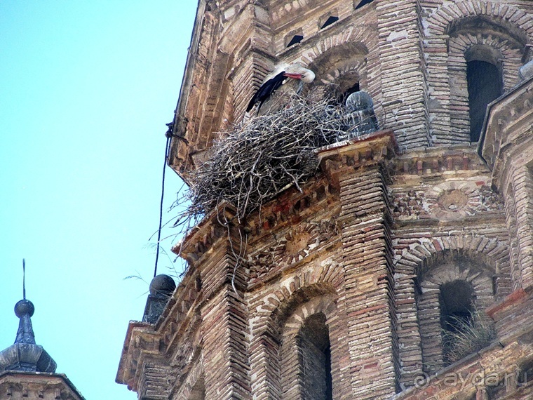 Провинциальная Испания - Сория и окрестности (две Кастилии, Наварра и Арагон). Часть 3 Провинциальная Испания - Сория и окрестности (две Кастилии, Наварра и Арагон). Часть 3