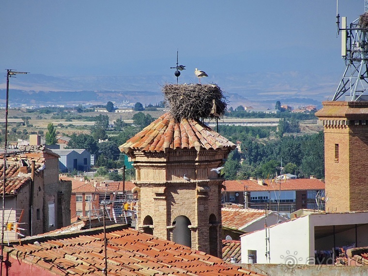 Провинциальная Испания - Сория и окрестности (две Кастилии, Наварра и Арагон). Часть 3