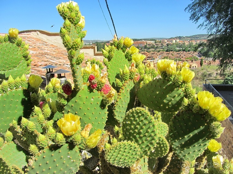 Провинциальная Испания - Сория и окрестности (две Кастилии, Наварра и Арагон). Часть 3 Провинциальная Испания - Сория и окрестности (две Кастилии, Наварра и Арагон). Часть 3