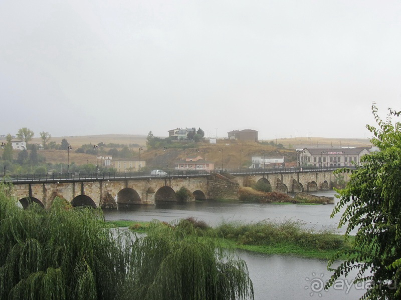 Как мы спасали ёжика и другие прогулки по Кастилии и вокруг Мадрида. Часть 12