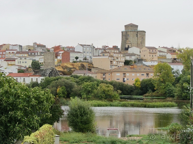 Как мы спасали ёжика и другие прогулки по Кастилии и вокруг Мадрида. Часть 12