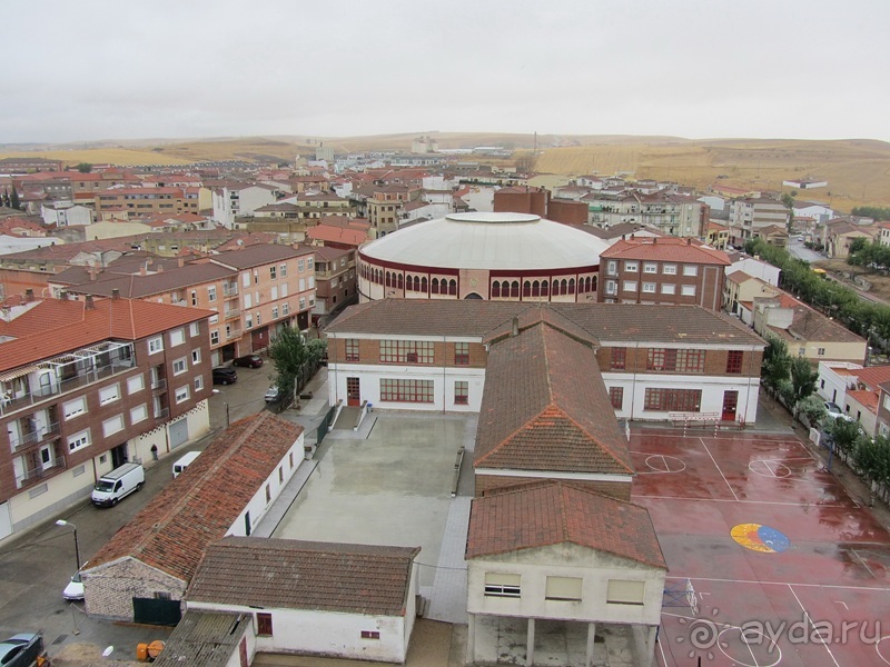 Как мы спасали ёжика и другие прогулки по Кастилии и вокруг Мадрида. Часть 12