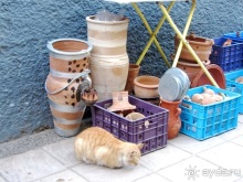 Возвращение на Восток: Марокко без мороки, или страна, которая не напрягает. Часть 1