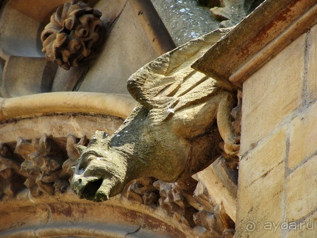 Французские бродилки - великолепный Мец, яркий Эльзас и серая Бургундия. Часть 2