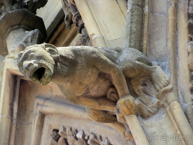 Французские бродилки - великолепный Мец, яркий Эльзас и серая Бургундия. Часть 2