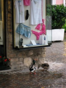 Италия: от Милана до Вероны с Г.Мортоном. День 1.