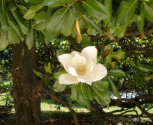 Италия: от Милана до Вероны с Г.Мортоном. День 1.