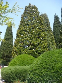 Италия: от Милана до Вероны с Г.Мортоном. День 1.