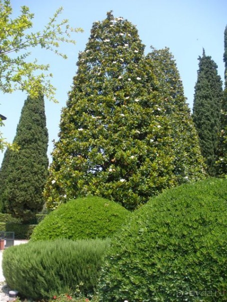 Италия: от Милана до Вероны с Г.Мортоном. День 1.