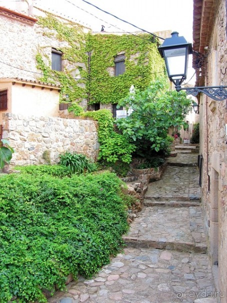 Альбом отзыва "Кольцо мечты: Каталония, Пиренеи и Коста-Брава - по обе стороны границы. Часть 7"