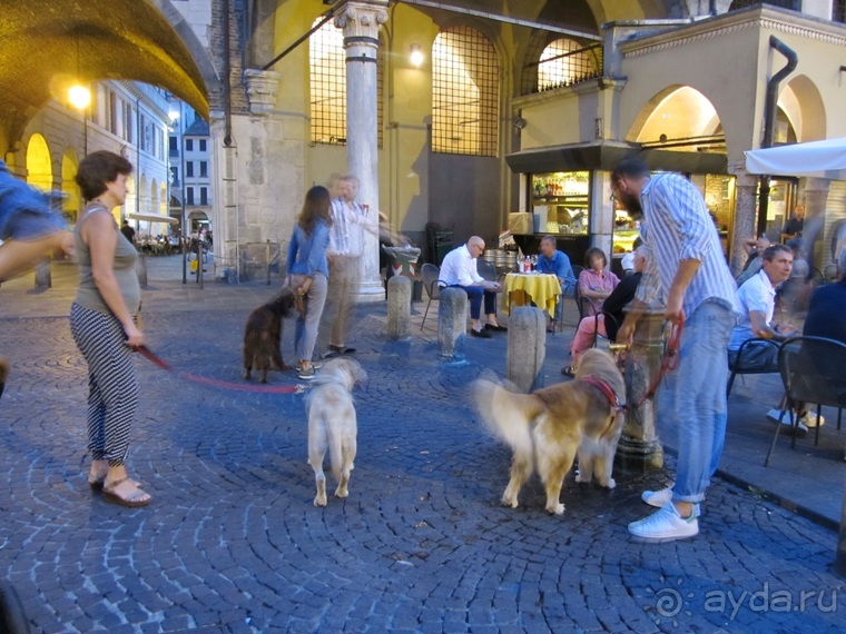 Пицца "североитальянская": Венеция и Венето, Тренто, Падуя и северная Гарда. Часть 1