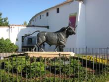 Прогулки по Андалусии (Малага, РОНДА, Антекера). Часть 2.