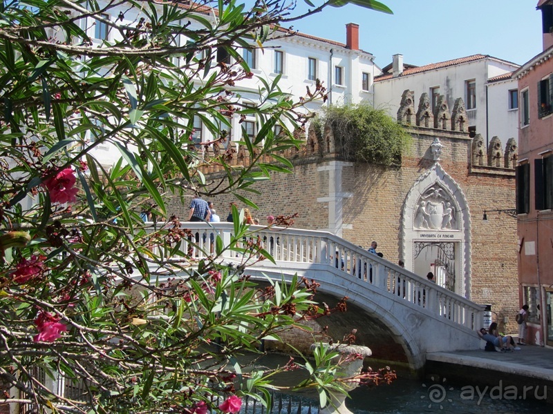 Венеция без стереотипов и Гранд-канала: сухопутные прогулки по Городу на воде. Часть 2/4