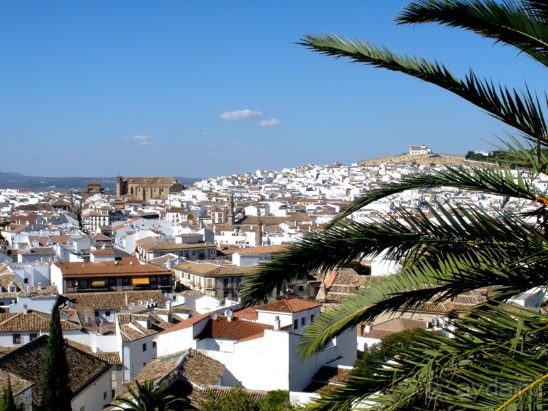 Прогулки по Андалусии (Малага, Ронда, АНТЕКЕРА). Часть 3.