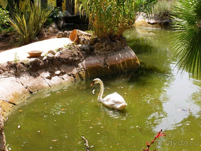 Снова в Испанию, или прогулки по Майорке. День 1.