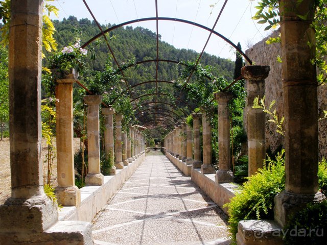 Снова в Испанию, или прогулки по Майорке. День 1.