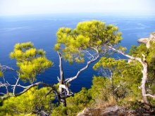 Снова в Испанию, или прогулки по Майорке. День 1.