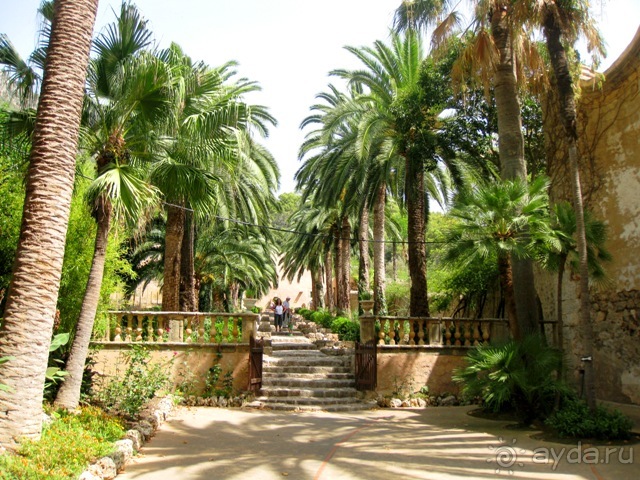 Снова в Испанию, или прогулки по Майорке. День 1.