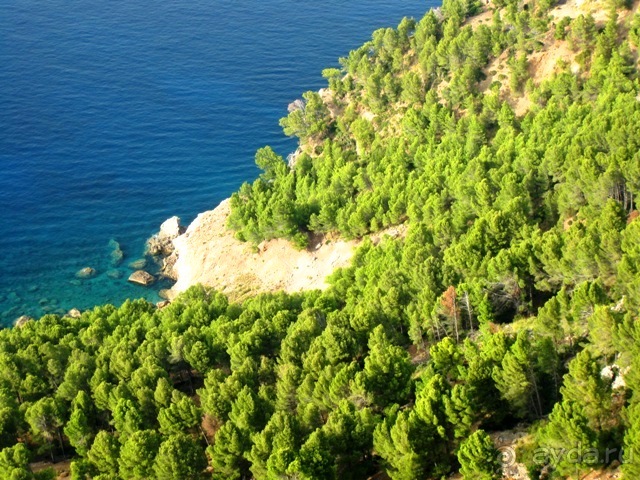 Снова в Испанию, или прогулки по Майорке. День 1.