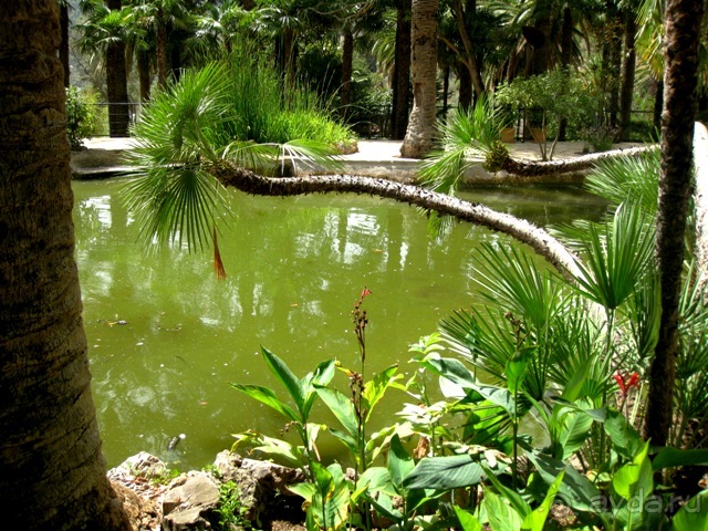 Снова в Испанию, или прогулки по Майорке. День 1.