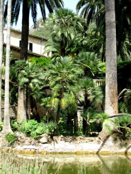 Снова в Испанию, или прогулки по Майорке. День 1.