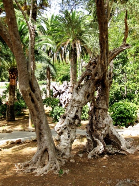 Снова в Испанию, или прогулки по Майорке. День 1.