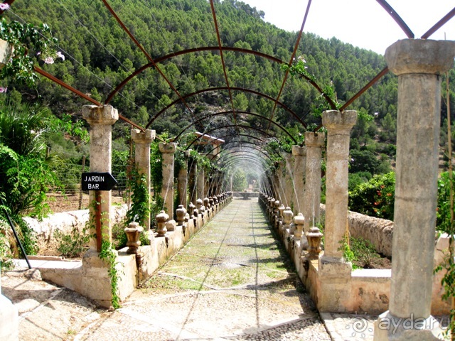 Снова в Испанию, или прогулки по Майорке. День 1.