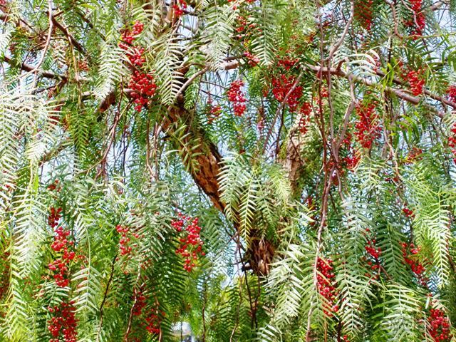 Снова в Испанию, или прогулки по Майорке. День 1.