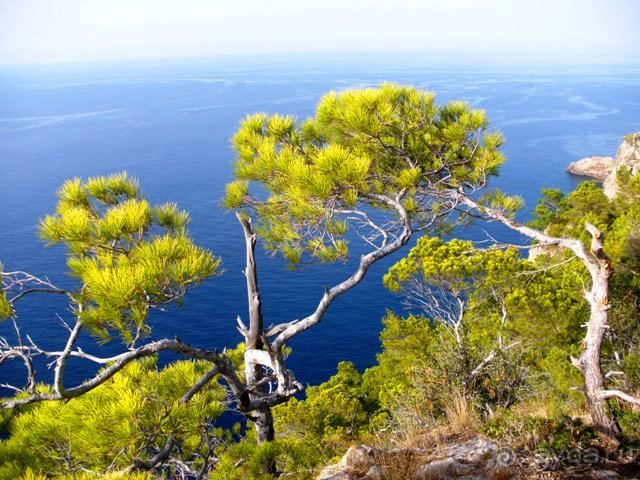 Снова в Испанию, или прогулки по Майорке. День 1.