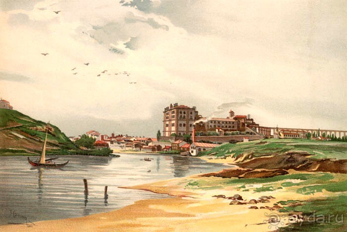 Порту и окрестности (Коимбра, Виана ду Каштело, Брага, Гимарайш, Вила ду Конде) Часть 3