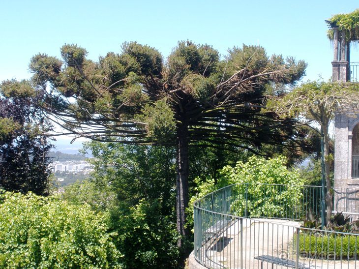 Порту и окрестности (Коимбра, Виана ду Каштело, Брага, Гимарайш, Вила ду Конде) Часть 3