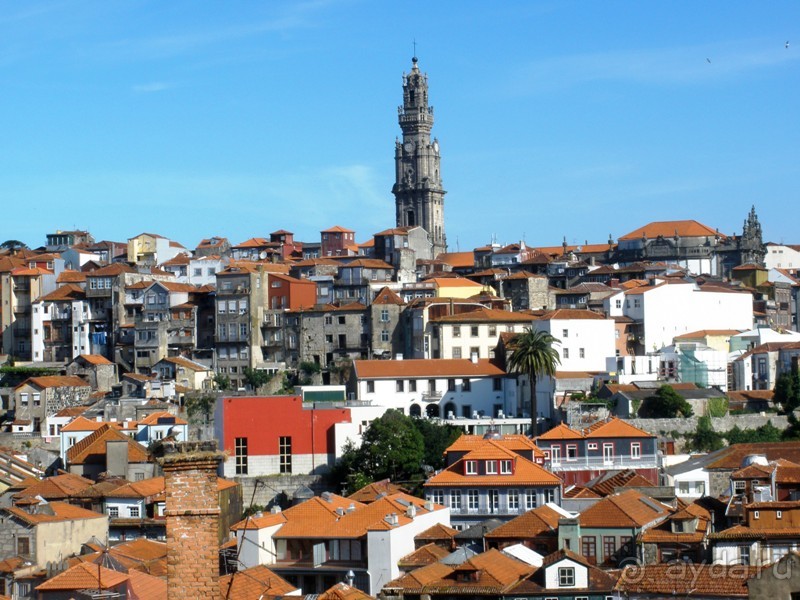 Порту и окрестности (Коимбра, Виана ду Каштело, Брага, Гимарайш, Вила ду Конде) Часть 3