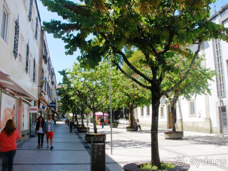 Порту и окрестности (Коимбра, Виана ду Каштело, Брага, Гимарайш, Вила ду Конде) Часть 3