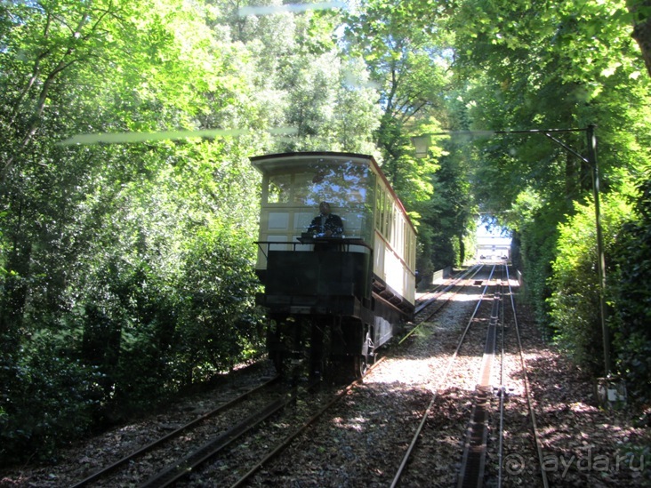 Порту и окрестности (Коимбра, Виана ду Каштело, Брага, Гимарайш, Вила ду Конде) Часть 3