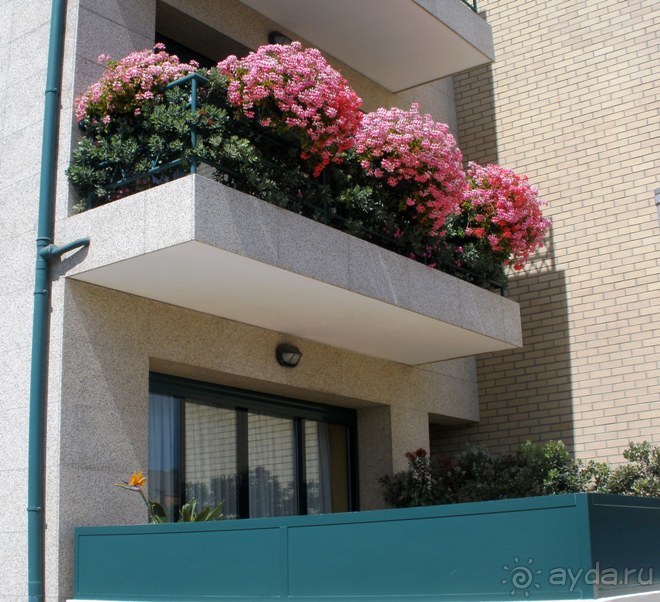 Порту и окрестности (Коимбра, Виана ду Каштело, Брага, Гимарайш, Вила ду Конде) Часть 3